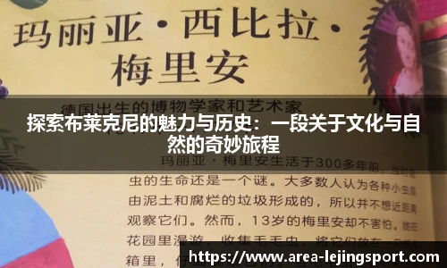 乐竞体育官方网站